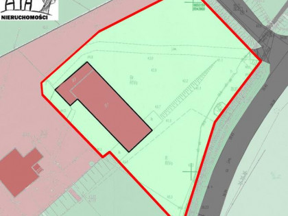 Dom Pszczółki, Rębielcz - Główna