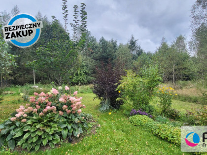 Działka Stężyca ul.  