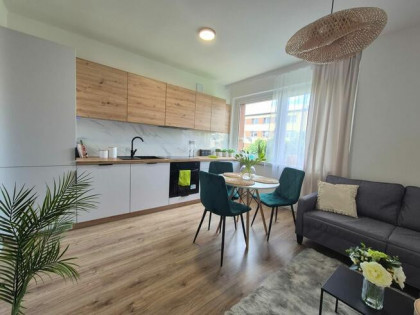 Komfortowe 2-pokojowe mieszkanie bez pośredników!