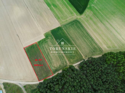 Działka Radziki Duże gm. Wąpielsk