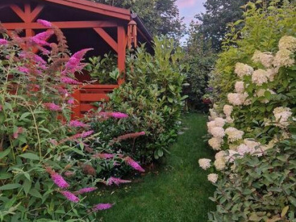 Działka rod rekreacyjna