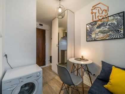 Wynajmę studio przyjazne dla zwierząt, Nasyp 2