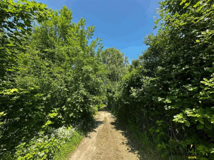 Działka siedliskowa Kamica gm. Gościno