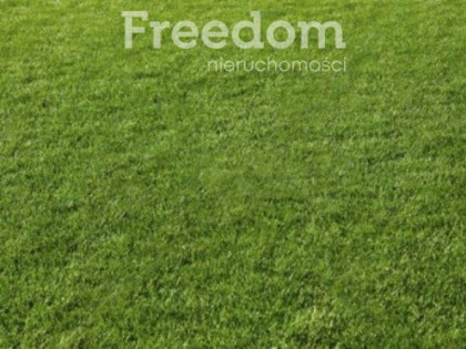 Działaka przy drodze krajowej