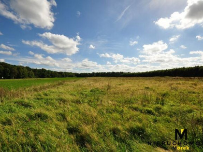 Działka Smolne gm. Będzino