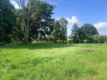 Przezmark – działka 2038 m² blisko jeziora i lasów