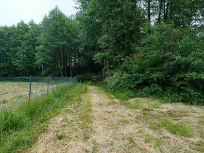 Kompleks Działek Budowlanych z dostępem do Jeziora OSTROWICK