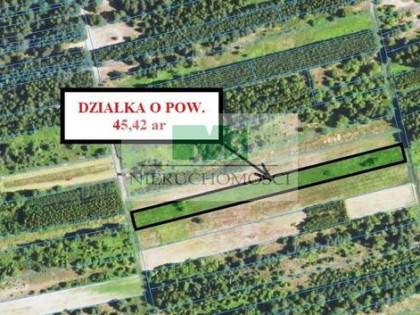 NA SPRZEDAŻ DZIAŁKI ROLNE W BRZÓZIE KRÓLEWSKIEJ