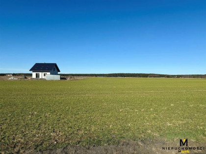 Działka budowlana Charzyno gm. Siemyśl