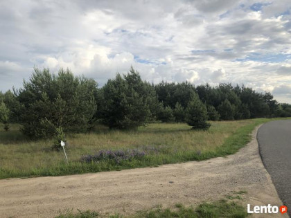 Kolankowo Prądocin - działka rezydencja ze ścianą lasu
