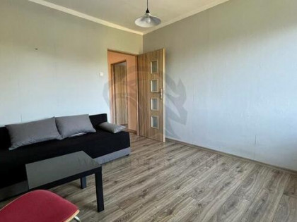 Własne M z codziennym treningiem w pakiecie