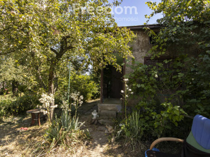 Działka ROD - ul. Jagiełły (ROD B.Andrzejewskiego)