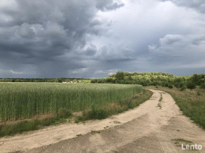 Kolankowo - Prądocin