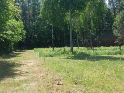 Strykowska /Łodzianka przy Lesie Łagiewnickim WZ