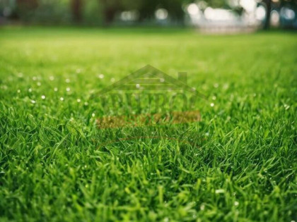 Zawada k.Opola, działka o powierzchni 11 arów