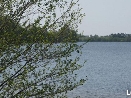 Bory Tucholskie z dostępem do jeziora! Stary Sumin Cekcyn