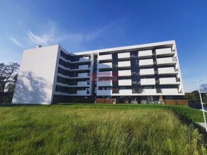 Studio z możliwością 2 pokoi