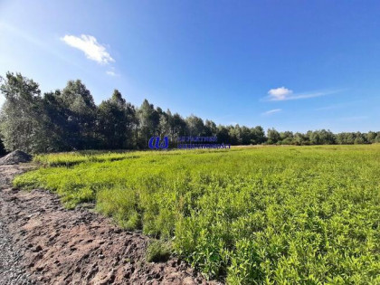 Działka budowlana Jasionka gm. Trzebownisko