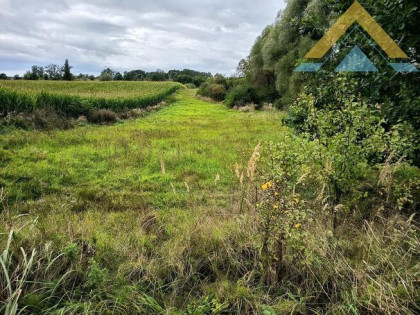 Działka rolna z potencjałem 2986 m2 , 79 tys.!