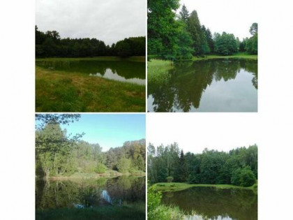 Dochodowa posiadłość, dom + magazyn, stawy i las