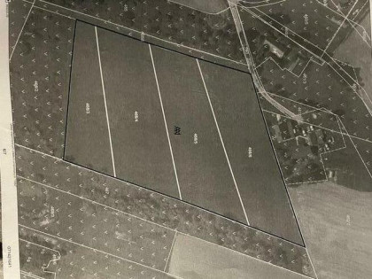 Sprzedam 3 dzialki lub każda osobno