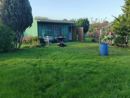 Sprzedam dzialke ROD