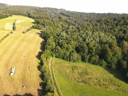 Działka leśna Bukowsko,