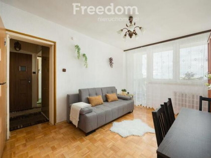 2 pokoje z loggią | Osobna kuchnia | Potencjał