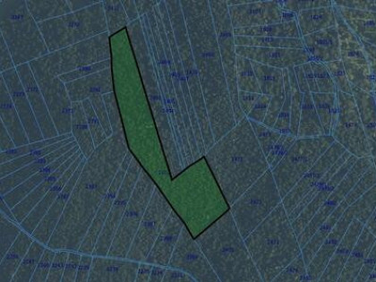 Działka leśna Konina gm. Niedźwiedź