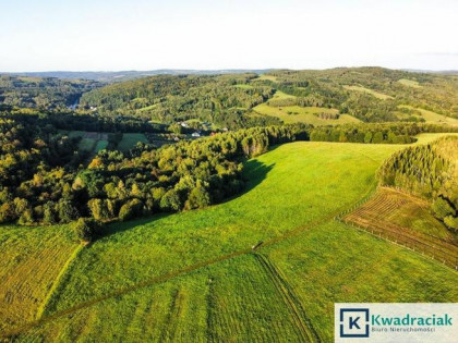 Działka rolna Lutcza gm. Niebylec,