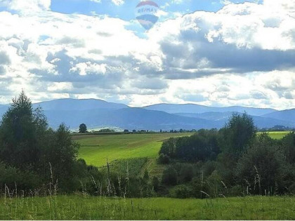 Działka w Lipowej -Twój przyszły dom