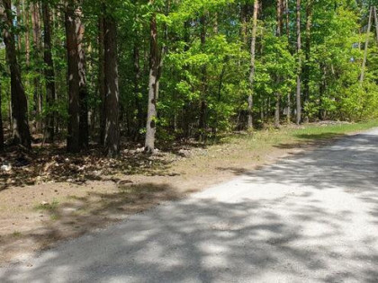 Działka Władysławów Żabia Wola 2000m