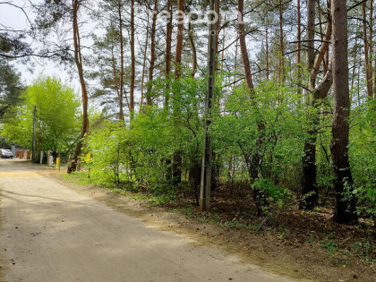 Działka budowlana Puszczykowo