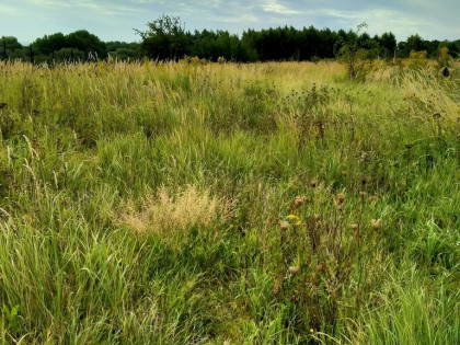 Działka Bukowo,642m2, plan,prąd,woda