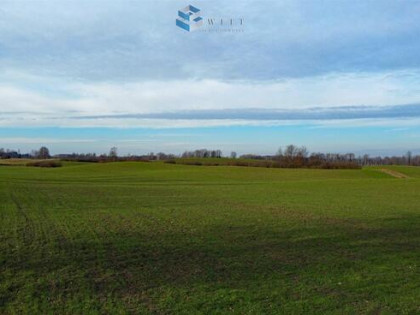 Działka rolna Liwa gm. Miłomłyn