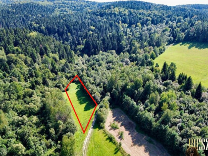 Urokliwa działka w Bieszczadach - Hoczew