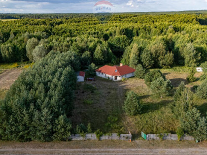 Dom z własnym stawem i wyspą pod Toruniem - Obory