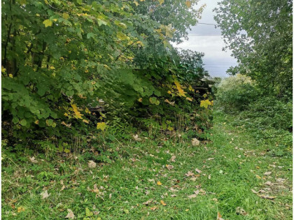 Działka budowlana Międzyrzecze Dolne, pow. bielski 159 zł/m2