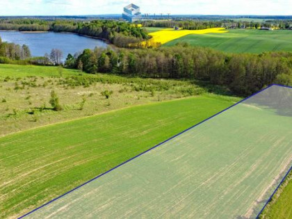 Działka Liksajny gm. Miłomłyn