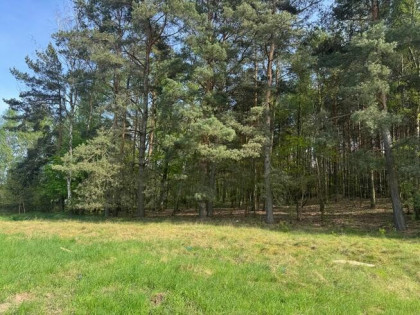 Działka na sprzedaż Zielona Góra Racula