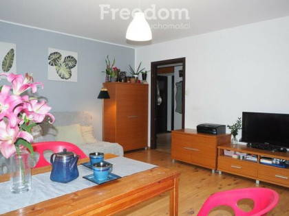 3-pokojowe mieszkanie na parterze – Bełchatów