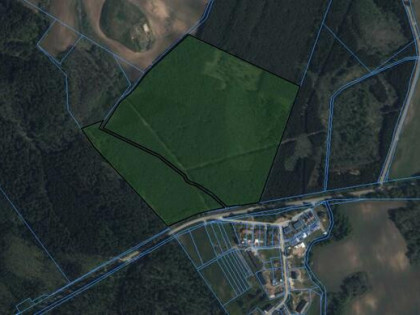 Las Sosnowy 14,62 ha