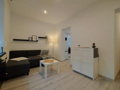 Duża kawalerka przyjazna dla zwierząt, Reja 13