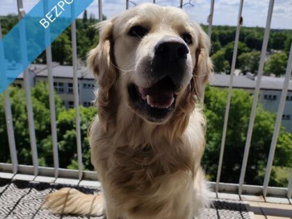 Przestronne 4 pokoje w Zabrzu – idealne dla rodziny!