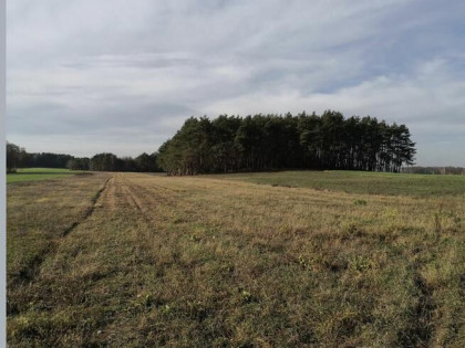 Działki budowlane Kępina gm.Tuliszkow