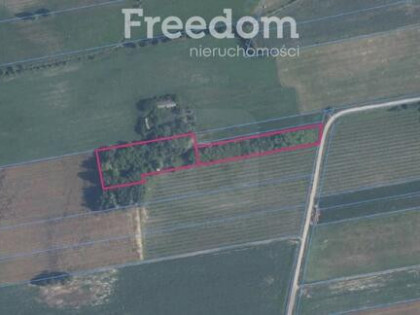 Działka siedliskowa z polem