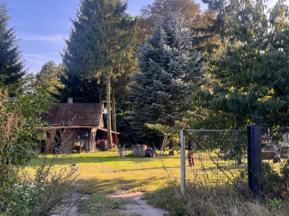 Działka Wygoda Smoszewska ul.  