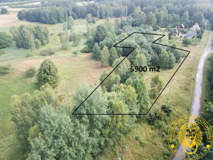 Wyszewo duża działka z warunkami zab.