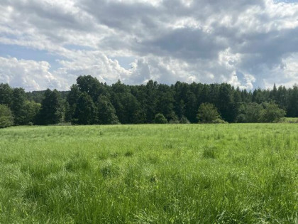 Działka dla dewelopera Koźmice Wielkie 1,12ha