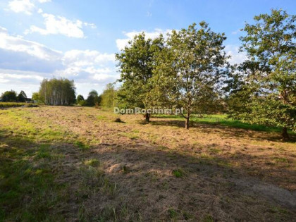 Działka budowlana Bucze gm. Brzesko